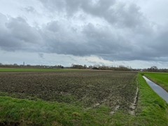 WhatsApp Image 2026-03-13 at 17.25.51 (1).jpeg